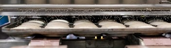 Sesame rolls on food production line