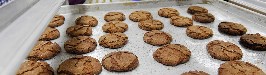 How Do Food Manufacturers Select Synthetic Food Safe Greases? featured image